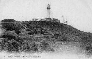 CAP FALCON  (31)